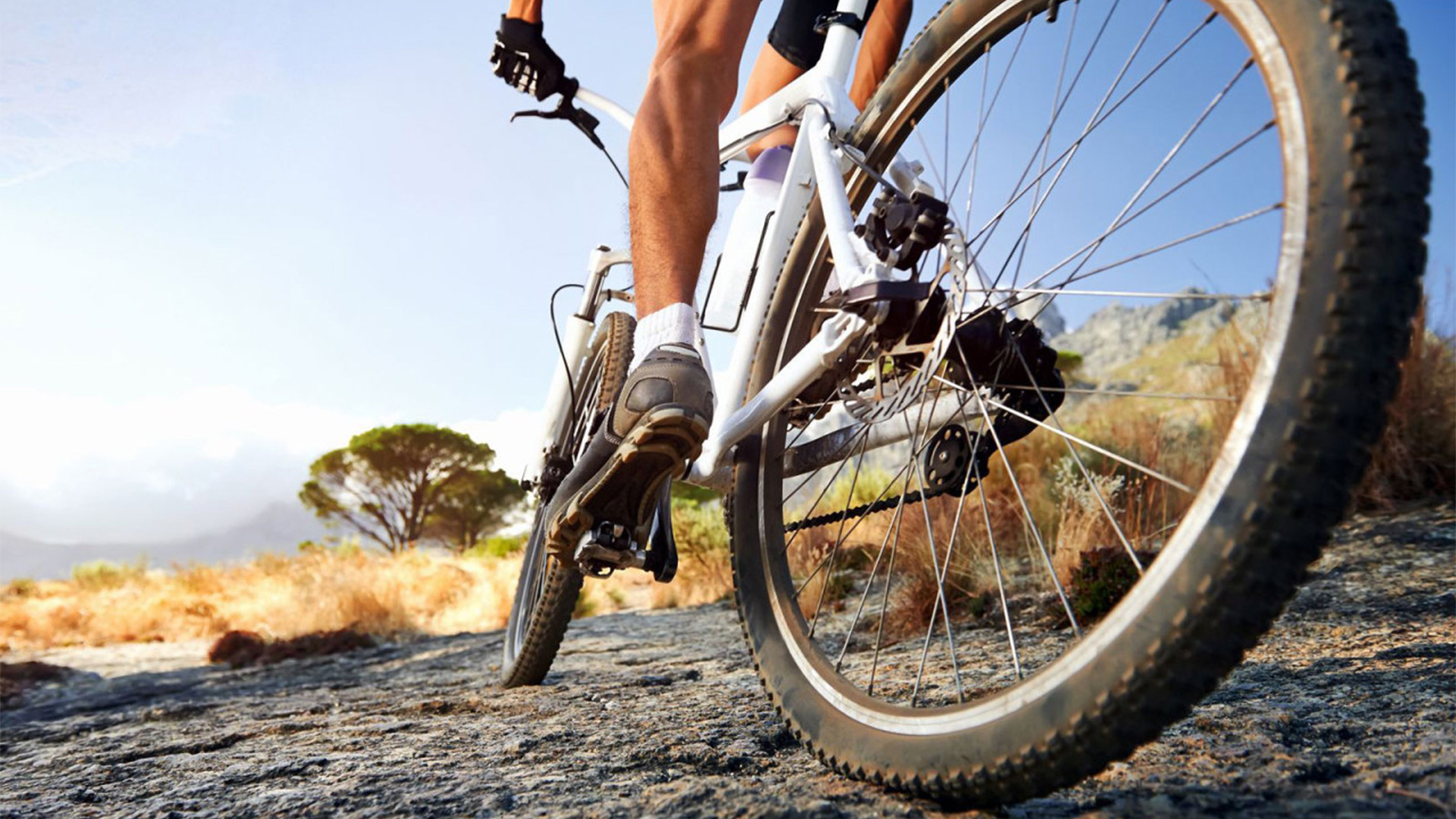 Top 5 Benefits of Adding Supplements to Your Fitness Routine